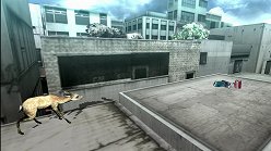 ꡼ No.006Υͥ / ƤȤϤ줿²饤α̿ϤˡTOKYO JUNGLEפβʴĶưʪãΥȡ꡼Ҳ