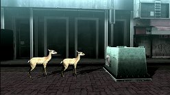 ꡼ No.010Υͥ / ƤȤϤ줿²饤α̿ϤˡTOKYO JUNGLEפβʴĶưʪãΥȡ꡼Ҳ