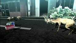 ꡼ No.015Υͥ / ƤȤϤ줿²饤α̿ϤˡTOKYO JUNGLEפβʴĶưʪãΥȡ꡼Ҳ