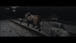 ꡼ No.017Υͥ / ƤȤϤ줿²饤α̿ϤˡTOKYO JUNGLEפβʴĶưʪãΥȡ꡼Ҳ