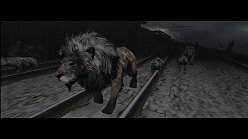 ꡼ No.018Υͥ / ƤȤϤ줿²饤α̿ϤˡTOKYO JUNGLEפβʴĶưʪãΥȡ꡼Ҳ