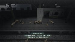 ꡼ No.020Υͥ / ƤȤϤ줿²饤α̿ϤˡTOKYO JUNGLEפβʴĶưʪãΥȡ꡼Ҳ