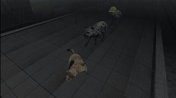 ꡼ No.024Υͥ / ƤȤϤ줿²饤α̿ϤˡTOKYO JUNGLEפβʴĶưʪãΥȡ꡼Ҳ