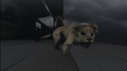 ꡼ No.025Υͥ / ƤȤϤ줿²饤α̿ϤˡTOKYO JUNGLEפβʴĶưʪãΥȡ꡼Ҳ