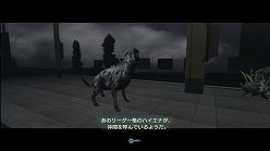 ꡼ No.026Υͥ / ƤȤϤ줿²饤α̿ϤˡTOKYO JUNGLEפβʴĶưʪãΥȡ꡼Ҳ