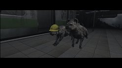 ꡼ No.027Υͥ / ƤȤϤ줿²饤α̿ϤˡTOKYO JUNGLEפβʴĶưʪãΥȡ꡼Ҳ