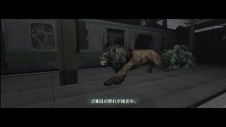 ꡼ No.028Υͥ / ƤȤϤ줿²饤α̿ϤˡTOKYO JUNGLEפβʴĶưʪãΥȡ꡼Ҳ