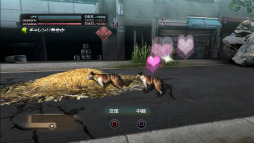 ꡼ No.006 | TOKYO JUNGLEפΥХХ⡼ɤ󤹤롣Ῡĥ򤷤ơ᥹ʤӤ夷ʤ顤ҤӤ