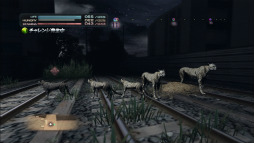 ꡼ No.009 | TOKYO JUNGLEפΥХХ⡼ɤ󤹤롣Ῡĥ򤷤ơ᥹ʤӤ夷ʤ顤ҤӤ