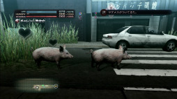 ꡼ No.011 | TOKYO JUNGLEפΥХХ⡼ɤ󤹤롣Ῡĥ򤷤ơ᥹ʤӤ夷ʤ顤ҤӤ