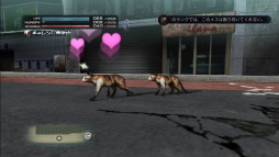 ꡼ No.013 | TOKYO JUNGLEפΥХХ⡼ɤ󤹤롣Ῡĥ򤷤ơ᥹ʤӤ夷ʤ顤ҤӤ