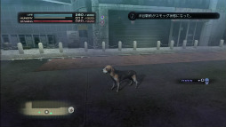 ꡼ No.015 | TOKYO JUNGLEפΥХХ⡼ɤ󤹤롣Ῡĥ򤷤ơ᥹ʤӤ夷ʤ顤ҤӤ