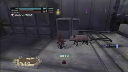 ꡼ No.016 | TOKYO JUNGLEפΥХХ⡼ɤ󤹤롣Ῡĥ򤷤ơ᥹ʤӤ夷ʤ顤ҤӤ