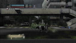 ꡼ No.017 | TOKYO JUNGLEפΥХХ⡼ɤ󤹤롣Ῡĥ򤷤ơ᥹ʤӤ夷ʤ顤ҤӤ