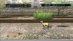 ꡼ No.019 | TOKYO JUNGLEפΥХХ⡼ɤ󤹤롣Ῡĥ򤷤ơ᥹ʤӤ夷ʤ顤ҤӤ