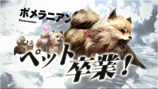 TOKYO JUNGLEץץ⡼ࡼӡ