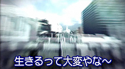 ꡼ No.005Υͥ / ̾ꥨãˤTOKYO JUNGLEץץ쥤9ˤ錄äƽ缡ˡ1ΥȤϥСͥȥġξ λ