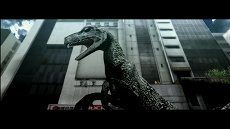 ꡼ No.017 | TOKYO JUNGLEסȡ꡼⡼ɤΥ꡼󥷥åȤǺܡݥ˥˥ܥͥ˥ۥ󥸥˥䶲ε