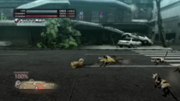 ꡼ No.007Υͥ / TOKYO JUNGLEץХХ⡼ɤΥ󥭥󥰤Ǿ̤뤿ɬפʡޤޤǤҲ