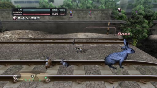 ꡼ No.008Υͥ / TOKYO JUNGLEץХХ⡼ɤΥ󥭥󥰤Ǿ̤뤿ɬפʡޤޤǤҲ