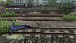 ꡼ No.010Υͥ / TOKYO JUNGLEץХХ⡼ɤΥ󥭥󥰤Ǿ̤뤿ɬפʡޤޤǤҲ