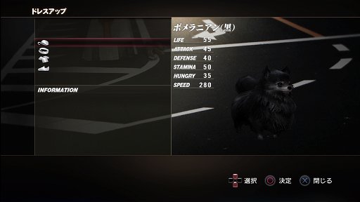 ꡼ No.004 | TOKYO JUNGLEȯ䡣ɲå饯䥳塼ʤɡɥƥĤۿ󤬸