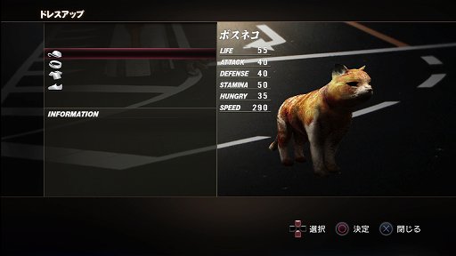 ꡼ No.007 | TOKYO JUNGLEȯ䡣ɲå饯䥳塼ʤɡɥƥĤۿ󤬸