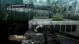 ꡼ No.011 | TOKYO JUNGLEȯ䡣ɲå饯䥳塼ʤɡɥƥĤۿ󤬸