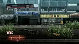 ꡼ No.017 | TOKYO JUNGLEȯ䡣ɲå饯䥳塼ʤɡɥƥĤۿ󤬸