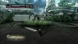 ꡼ No.023 | TOKYO JUNGLEȯ䡣ɲå饯䥳塼ʤɡɥƥĤۿ󤬸