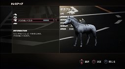 ꡼ No.026 | TOKYO JUNGLEȯ䡣ɲå饯䥳塼ʤɡɥƥĤۿ󤬸