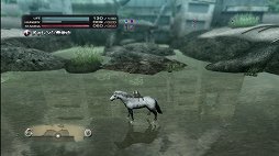 ꡼ No.027 | TOKYO JUNGLEȯ䡣ɲå饯䥳塼ʤɡɥƥĤۿ󤬸