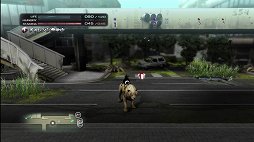 ꡼ No.031 | TOKYO JUNGLEȯ䡣ɲå饯䥳塼ʤɡɥƥĤۿ󤬸