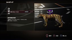 ꡼ No.032 | TOKYO JUNGLEȯ䡣ɲå饯䥳塼ʤɡɥƥĤۿ󤬸