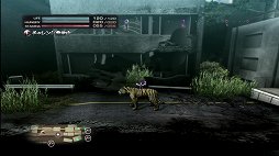 ꡼ No.033 | TOKYO JUNGLEȯ䡣ɲå饯䥳塼ʤɡɥƥĤۿ󤬸