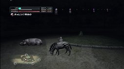 ꡼ No.035 | TOKYO JUNGLEȯ䡣ɲå饯䥳塼ʤɡɥƥĤۿ󤬸