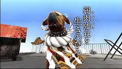 ꡼ No.006 | ݥ˥󤬥ҥ襳餤᥹ȸ׷ʡˡܺ TOKYO JUNGLEפ̥Ϥץ쥤ࡼӡǾҲ