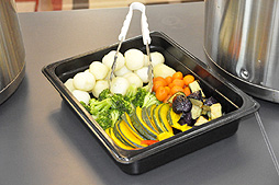 ꡼ No.004Υͥ / SCEμҿTOKYO JUNGLEפ˥å줿ҲȻݻо줷TOKYO JUNGLE졼ݡ