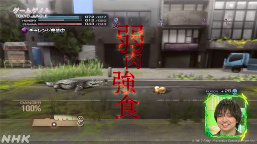 ꡼ No.001Υͥ / NHK֥ॲΥ10TOKYO JUNGLE/Stray׻İݡȡޡ򤵤äۿ˥ޥ륲˶̤ΤȤ