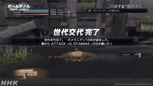 ꡼ No.004Υͥ / NHK֥ॲΥ10TOKYO JUNGLE/Stray׻İݡȡޡ򤵤äۿ˥ޥ륲˶̤ΤȤ