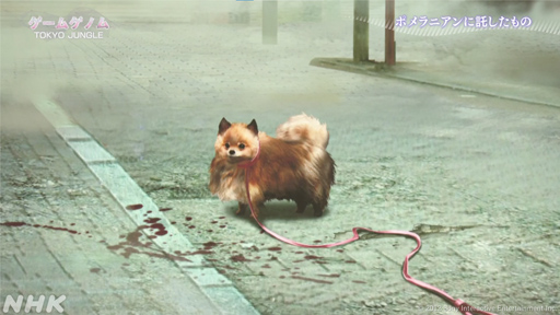 ꡼ No.006Υͥ / NHK֥ॲΥ10TOKYO JUNGLE/Stray׻İݡȡޡ򤵤äۿ˥ޥ륲˶̤ΤȤ