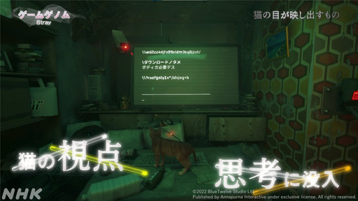 ꡼ No.009Υͥ / NHK֥ॲΥ10TOKYO JUNGLE/Stray׻İݡȡޡ򤵤äۿ˥ޥ륲˶̤ΤȤ