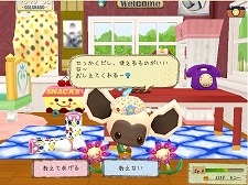 ꡼ No.007Υͥ / ֥饦֥ͥ͡ס¾2ܤΥץ¥ƥȤȡĤ̤ߡ֥͡פİ