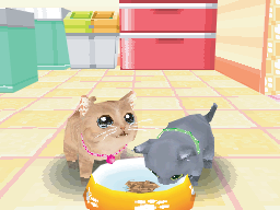 かわいい子猫ds3 発売日が12月2日に ゲーム内容を紹介 かわいい子猫ds3 発売日が12月2日に ゲーム内容を紹介