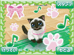 かわいい子猫ds3 発売日が12月2日に ゲーム内容を紹介