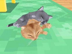 画像ギャラリー No.002のサムネイル画像 / 2匹の猫ちゃん達の仕草がキュートすぎ。「かわいい子猫DS3」の公式サイトが正式オープン