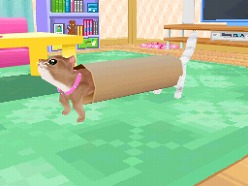 画像ギャラリー No.004のサムネイル画像 / 2匹の猫ちゃん達の仕草がキュートすぎ。「かわいい子猫DS3」の公式サイトが正式オープン