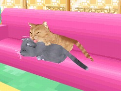 画像ギャラリー No.005のサムネイル画像 / 2匹の猫ちゃん達の仕草がキュートすぎ。「かわいい子猫DS3」の公式サイトが正式オープン
