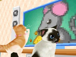 画像ギャラリー No.008のサムネイル画像 / 2匹の猫ちゃん達の仕草がキュートすぎ。「かわいい子猫DS3」の公式サイトが正式オープン