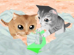 画像ギャラリー No.009のサムネイル画像 / 2匹の猫ちゃん達の仕草がキュートすぎ。「かわいい子猫DS3」の公式サイトが正式オープン